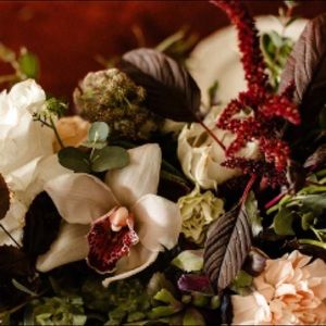 Meet your Posher, Barrett